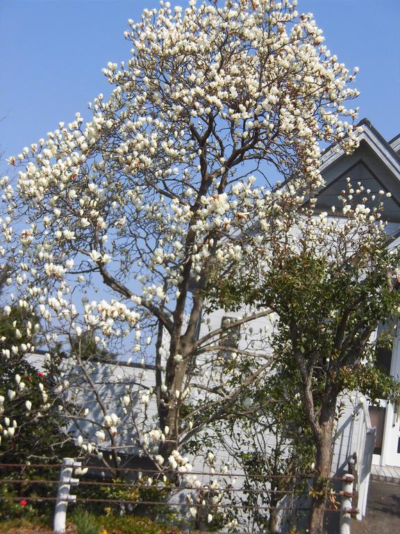 Holiday Home Apple Ito  Exterior foto